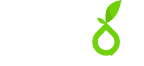Pleros
