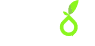 Pleros
