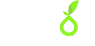 Pleros